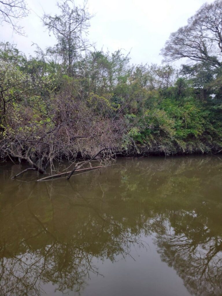 第一線　長門将監川