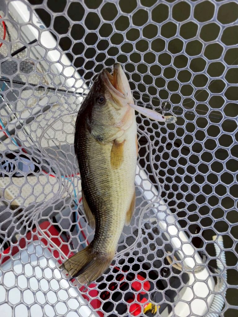 第一線　長門将監川