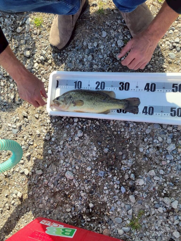 第一線　長門将監川