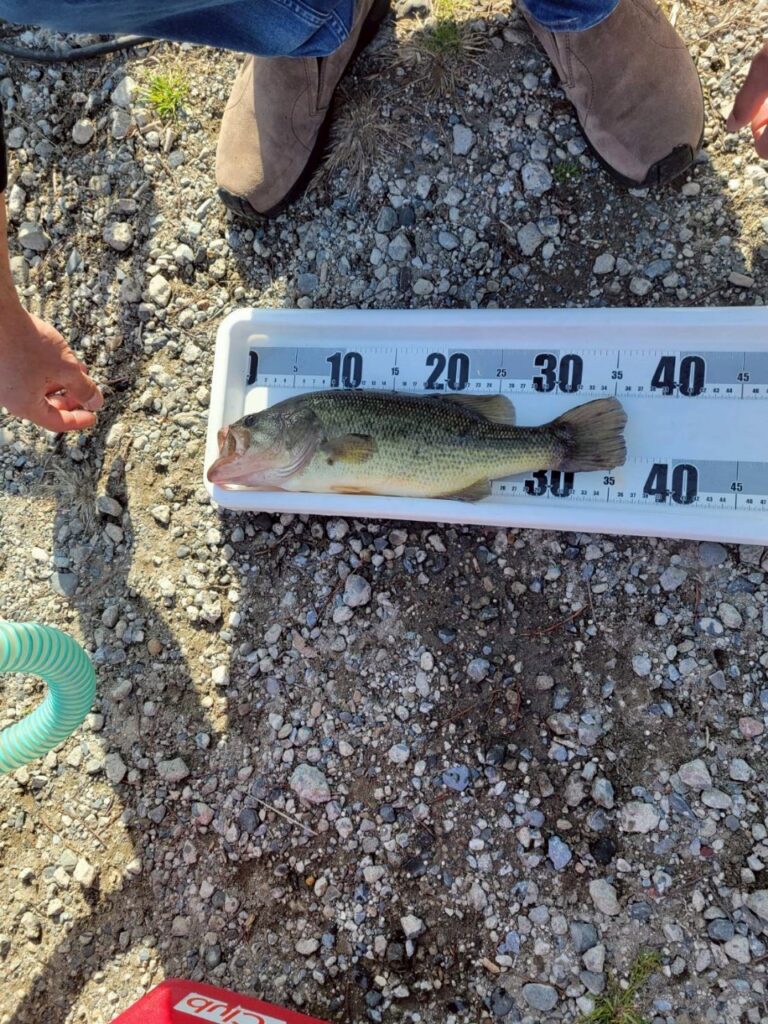 第一線　長門将監川